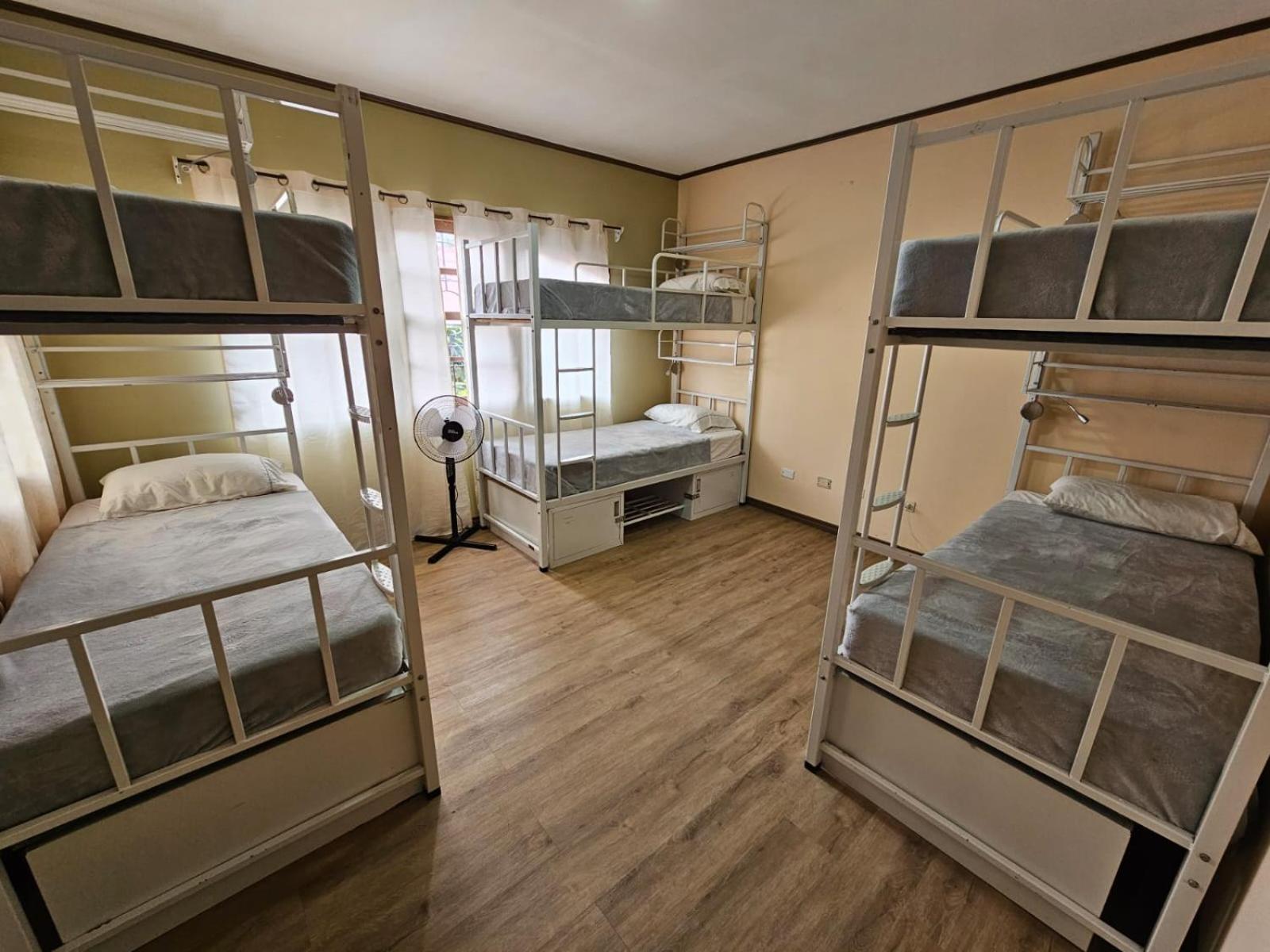 Hostel La Cali Inn San José Extérieur photo